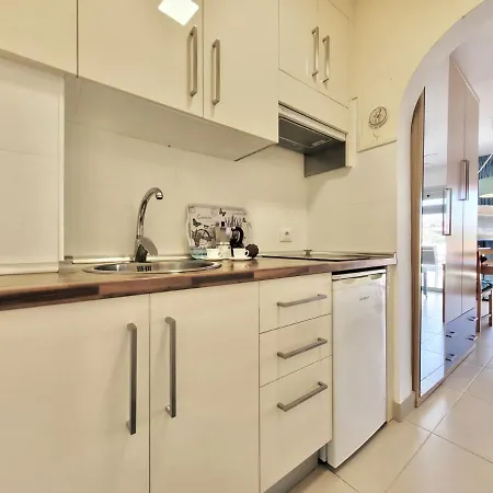 Agave Teide View By Tor