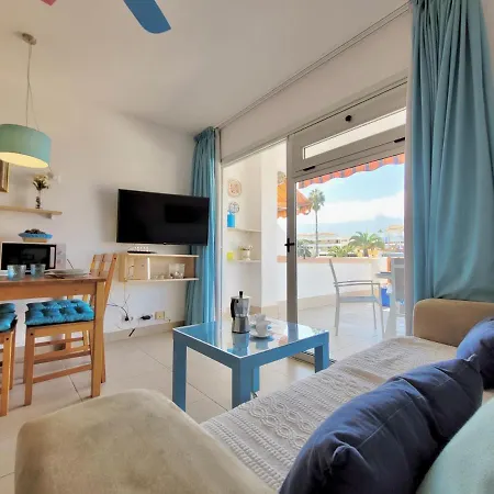 Agave Teide View By Tor * 拉克鲁斯